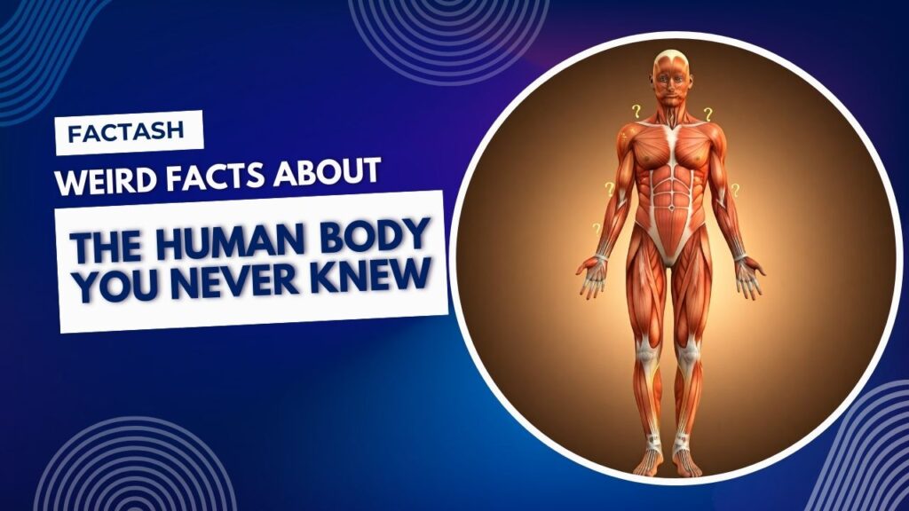 Weird Facts About the Human Body You Never Knew